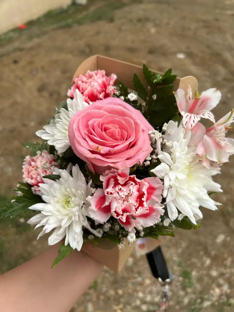 pink .webp