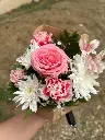 pink .webp