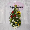 WhatsApp Image 2026-02-07 at 9.00.35 AM.webp