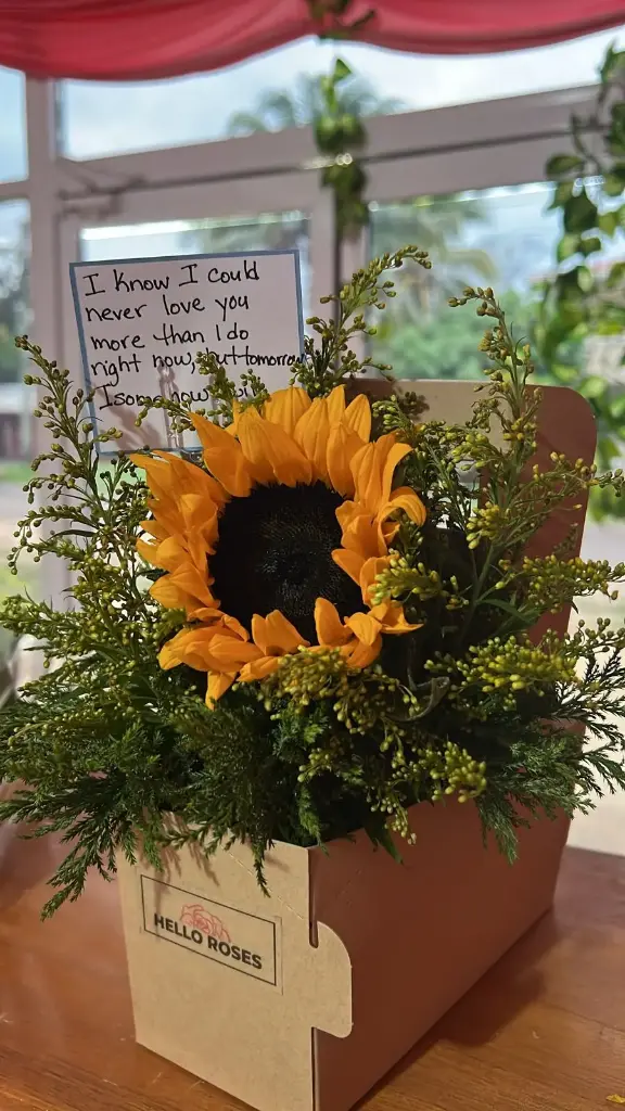 Sunflower with Coffee tray